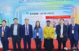 以標準化助推金磚技能發展、應用技術與創新合作新未來