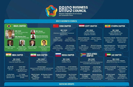 2025金磚峰會之《金磚國家工商理事會執行報告》