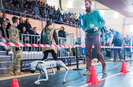 匈牙利四足機器人編程挑戰賽在赫維什州埃格爾成功舉辦